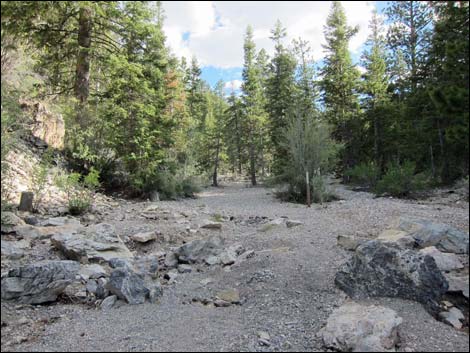 Macks Canyon Road