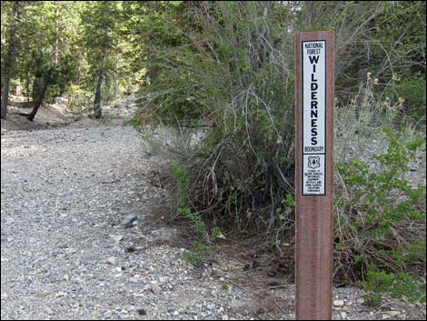 Macks Canyon Road