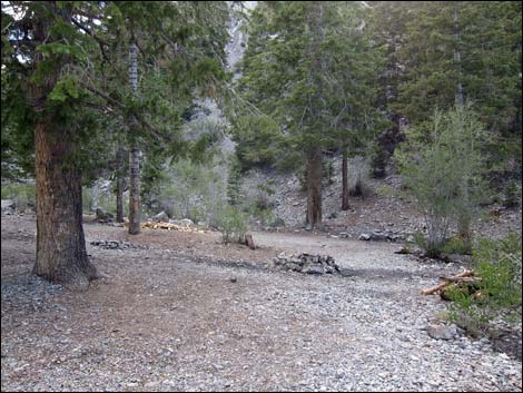 Macks Canyon Road