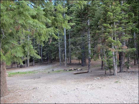 Macks Canyon Road