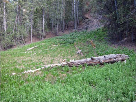 Macks Canyon Road