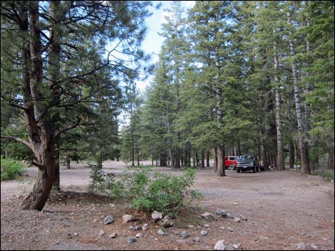 Macks Canyon Road