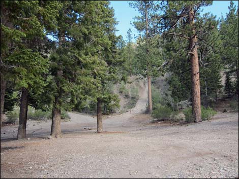Macks Canyon Road