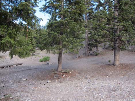 Macks Canyon Road