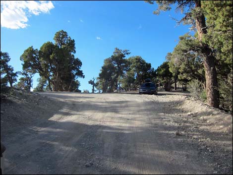 Macks Canyon Road