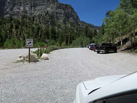 Mary Jane Road