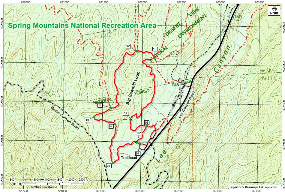 Bog Sawmill Loop Trail Map