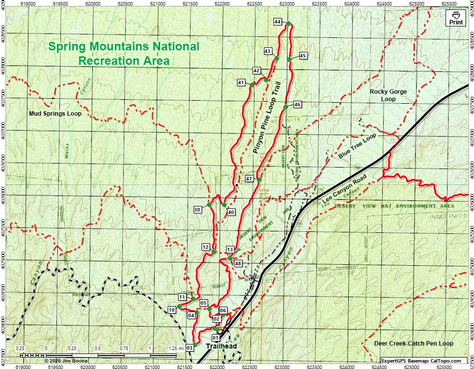 Pinyon Pine Loop Trail Map