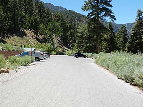 Cathedral Rock Trailhead