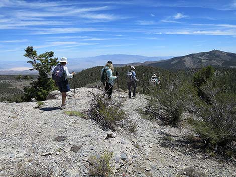Wildhorse Loop Trail