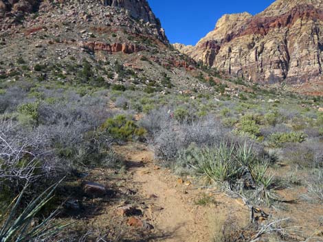 Arnight Trail