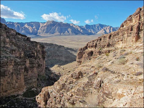 Desert Cave