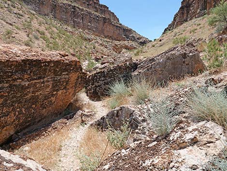 Fossil Canyon