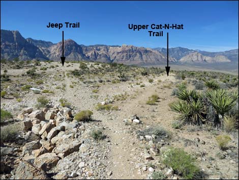 Jeep Trail