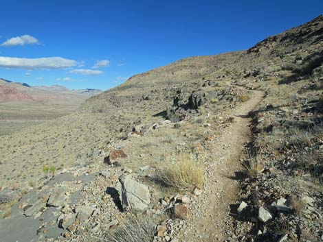 Muffin Trail