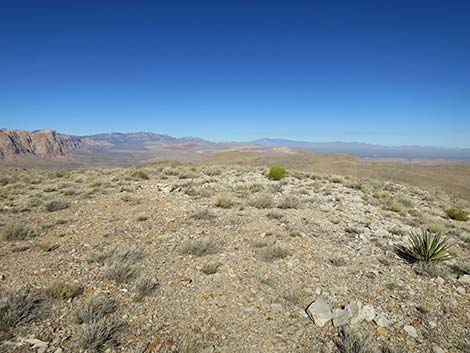Birdspring Peak