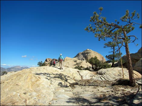 Bridge Mountain