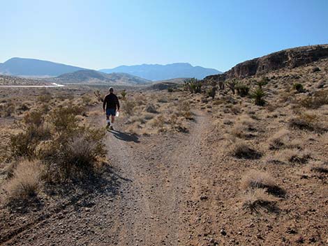 Ridgeline Loop Trail