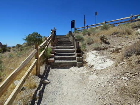 calico 2 trail