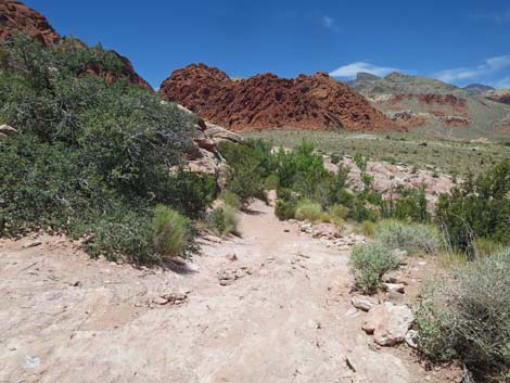 Calico Basin Trail