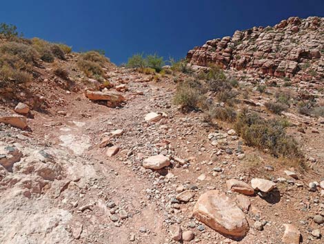 Calico Basin Overlook Trail