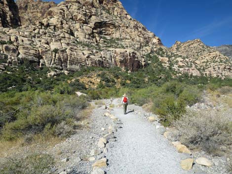 Trail