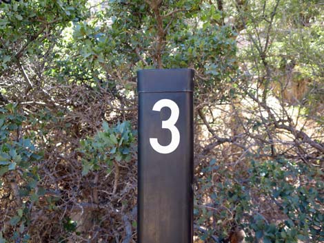 Childrens Discovery Trail