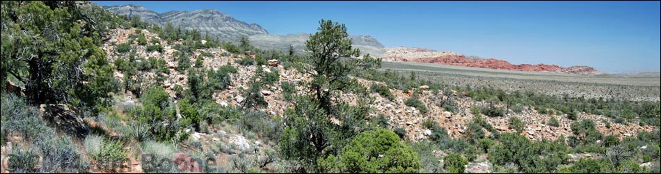 Dales Trail