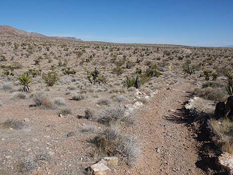 Entrance Station to Calico Basin Trail