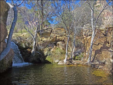 First Creek Falls