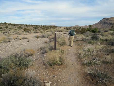Grand Circle Trail