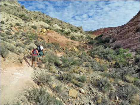 Kraft Mountain Loop
