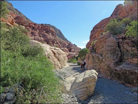 Kraft Mountain Loop
