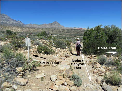 Icebox Canyon