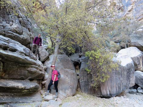 Ice Box Canyon