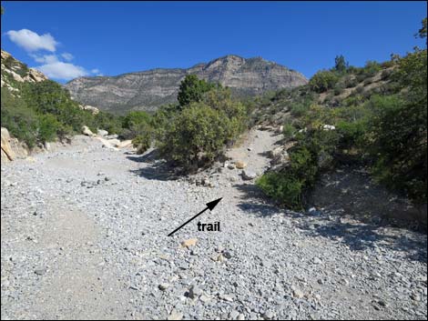 Keystone Thrust