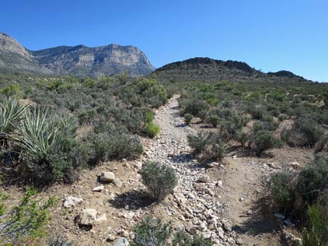 Keystone Thrust