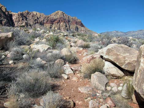 Knoll Trail