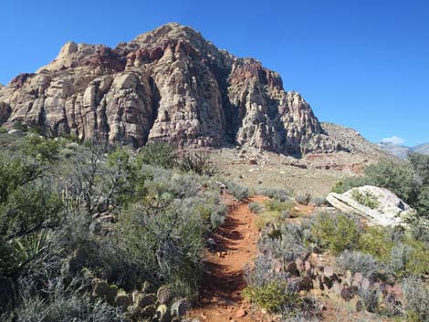 Knoll Trail