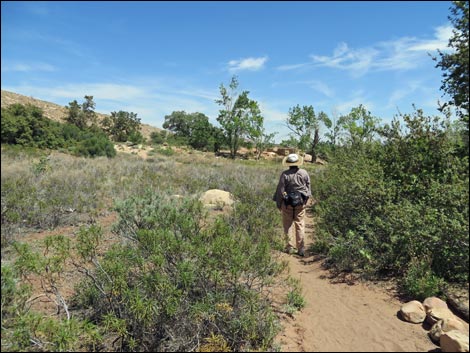 Knoll Trail
