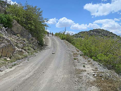 Carole Lombard Crash Site