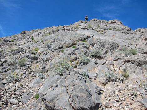 Lone Mountain