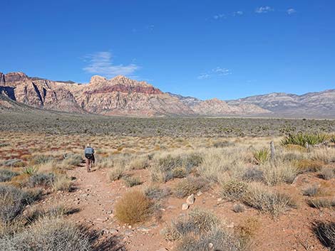 Middle Oak Creek Trail