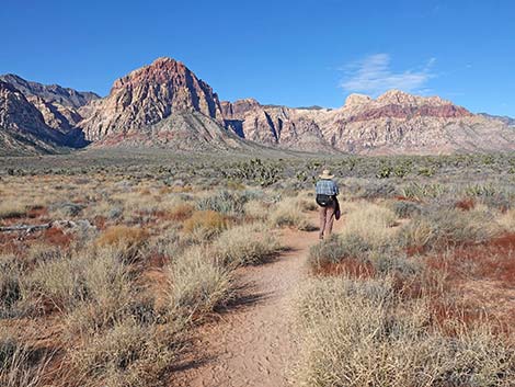 Middle Oak Creek Trail