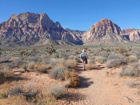 Middle Oak Creek Trail