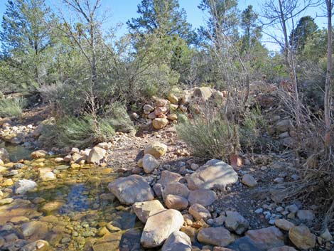 South Oak Creek Trail