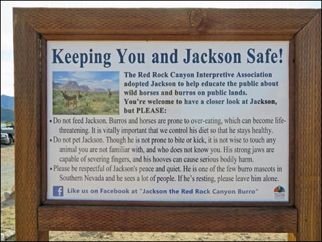 Jackson