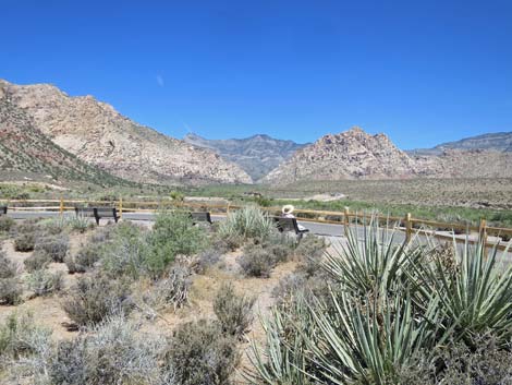 Red Rock Wash Overlook