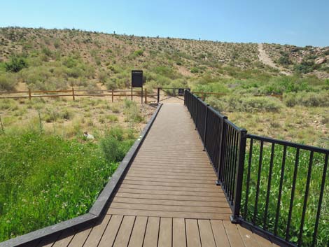 Red Spring Boardwalk