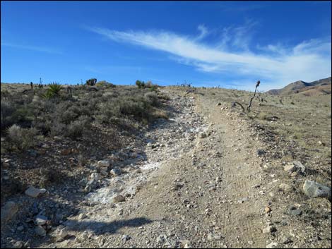 Ninetynine Mine Road